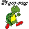 Si ga voy