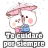 Te cuidaré por siempre