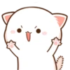 Kitten 14