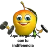 MANGOS. 15