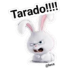 Tarado!!!!
@lexa