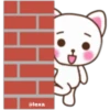 cat-cito tierno 12