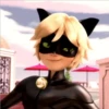 Ladybug 20