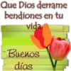 Buen día 9