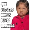 100% actitud 24
