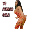 Yo Perreo Sola X Bad Bunny 17