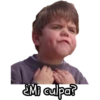 Mi culpa?