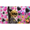 Ladybug 23