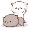 Kitten 16