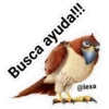 Busca ayuda!!!
@lexa