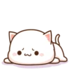 Kitten 17