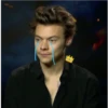 Harry Styles  part2 29