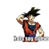 Hola soy nuevo