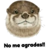 No me agradas!!