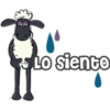 Lo siento