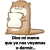 Dice mi mama que ya nos vayamos a dormir...