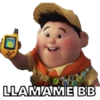 DOOGE
LLAMAME BB
