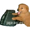 jaja así es
