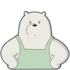 Polar 3 5