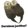 Dormimos juntitos?