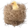 Easter rabbit 3 11