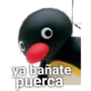 ya bañate puerca