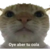 Oye aber tu cola h