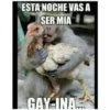 Memes variados 4 6
