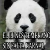 Funny PACK ✤LOL✤ N°1 8