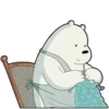Polar 3 8
