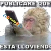 variados 🐕🐈 9