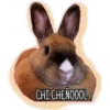 CHI CHENOOOL