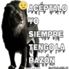 Funny PACK ✤LOL✤ N°1 12