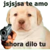 jsjsjsa te amo ahora dilo tu