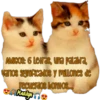 variados 🐕🐈 11