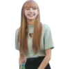 Lisa k-pop 10