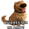 010
QUIERES SER
MI AMO?