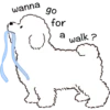 MIKO THE FLUFFY WHITE DOG 7
