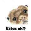 Estas ahí?