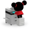 Pucca 10