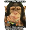 variados 🐕🐈 12