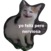 yo feliz pero nerviosa
