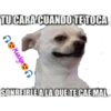 variados 🐕🐈 13