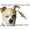 variados 🐕🐈 14