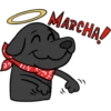 P
MARCHA!