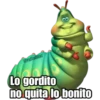 @raffadilaz
m
Lo gordito
no quita lo bonito
