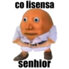 colisensa senhior