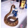 Funny PACK ✤LOL✤ N°1 18