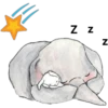 elefantes tiernos 16