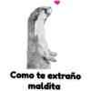 Como te extraño maldita